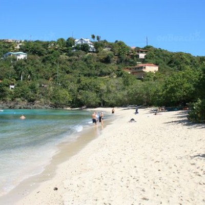 a group of people on a beach