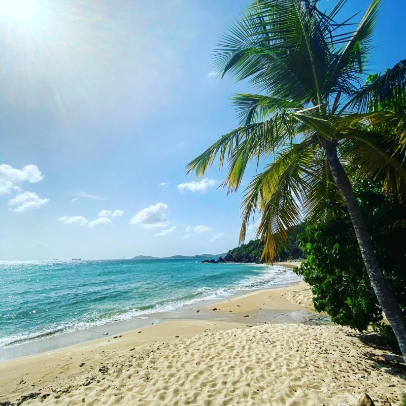 a sandy beach next to the ocean