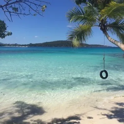 a beach with palm trees and a body of water