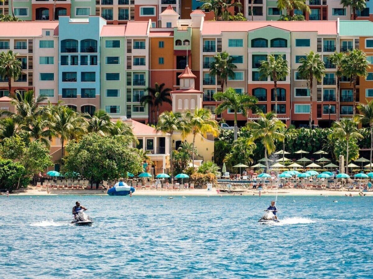 a group of people swimming in a body of water