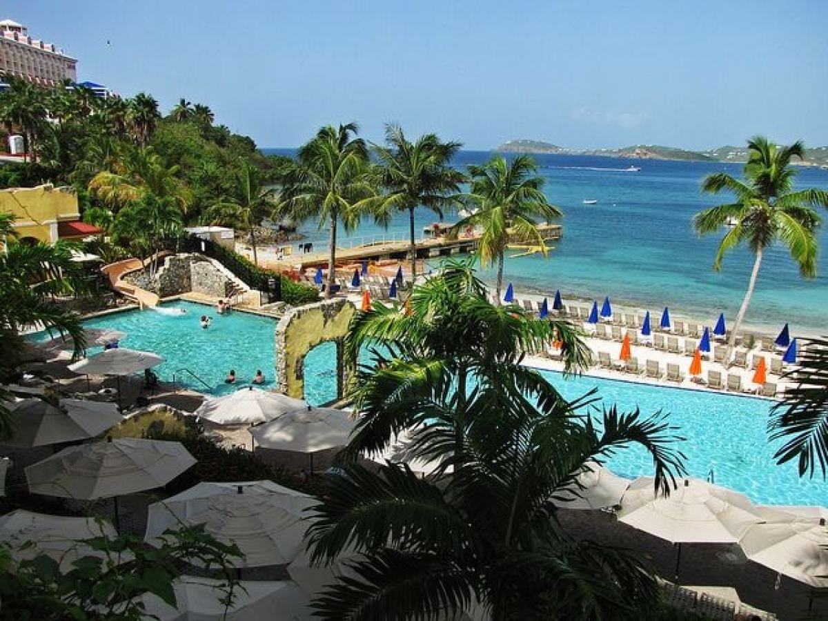 a group of palm trees next to a body of water