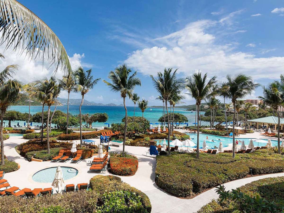 a group of palm trees next to a body of water