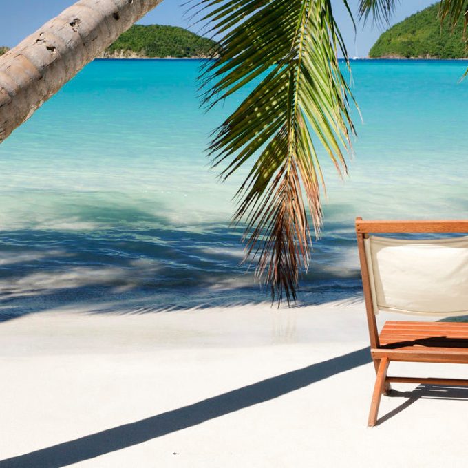 a palm tree sitting next to a body of water