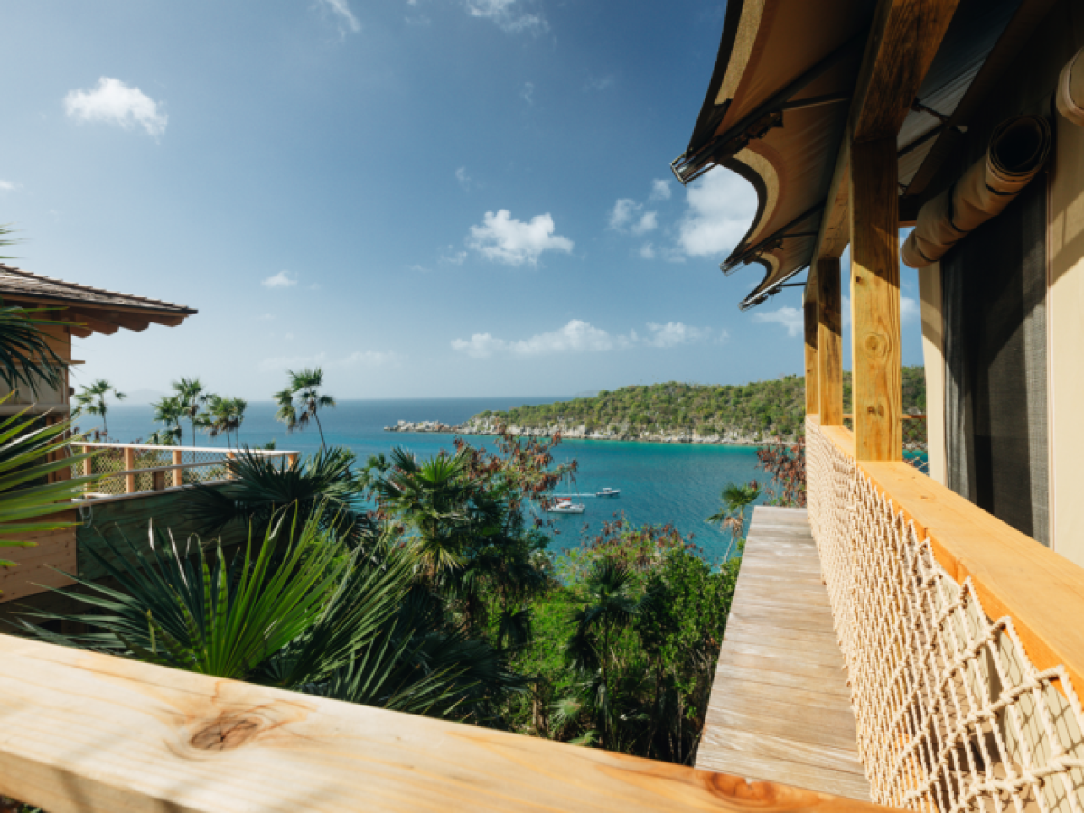 a wooden dock in front of a palm tree