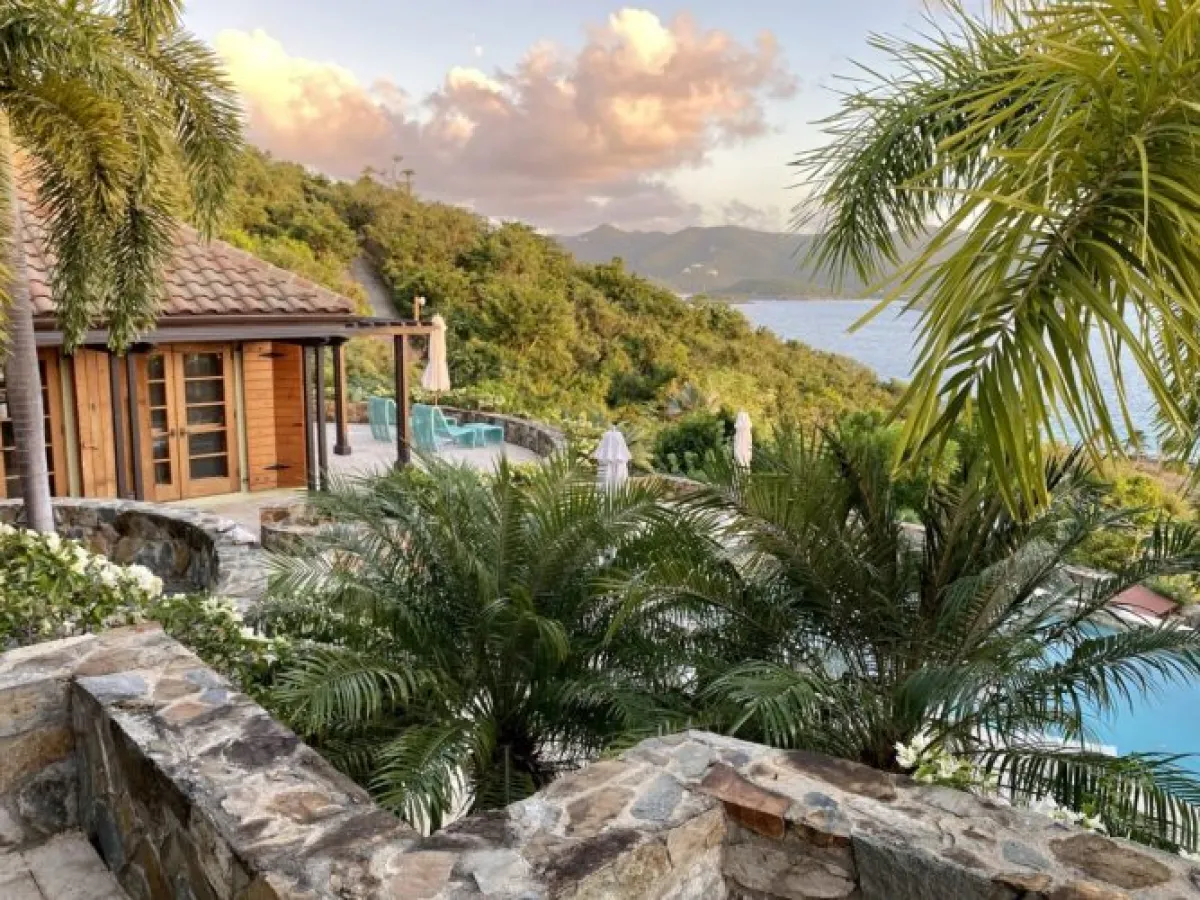 a palm tree in front of a house