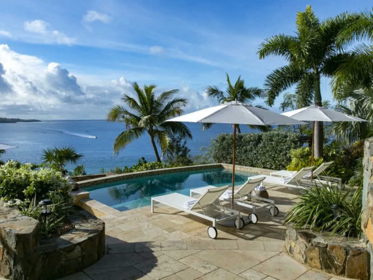 a group of palm trees