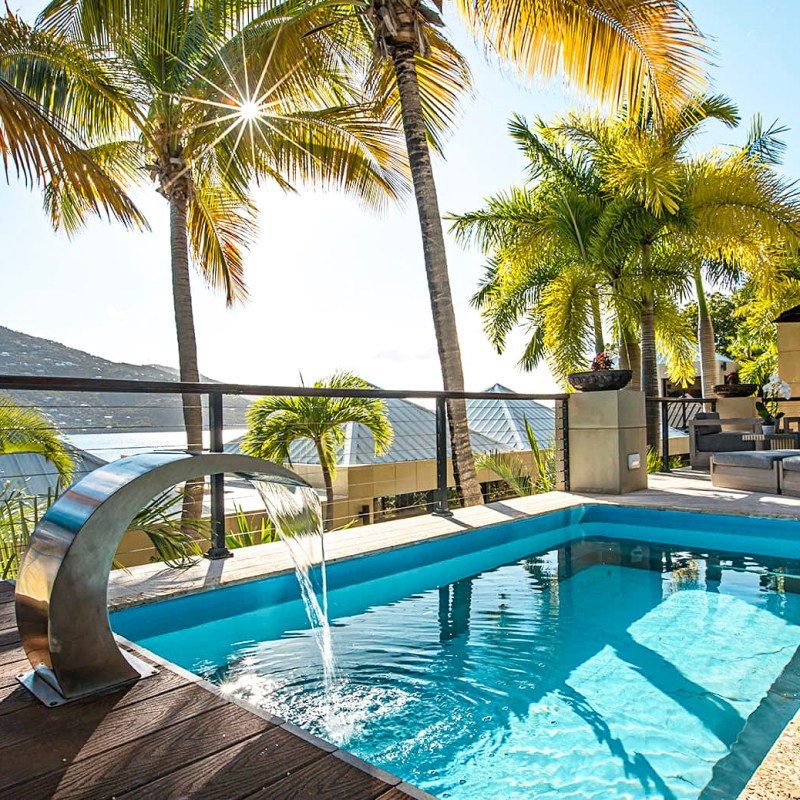 a pool next to a palm tree