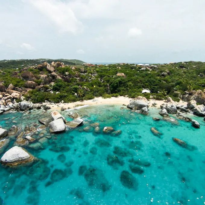 a flock of birds sitting on a rock near the ocean