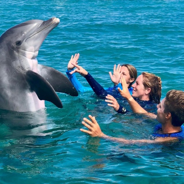 a person swimming in a body of water