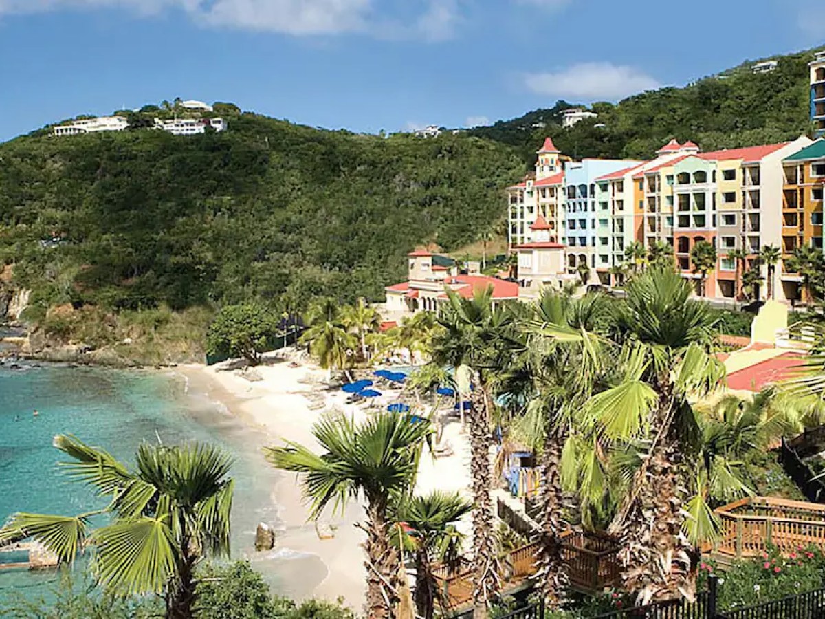 a group of palm trees with buildings in the background