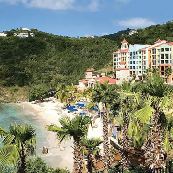 a group of palm trees with buildings in the background
