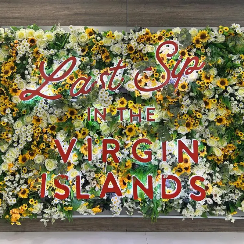 a colorful flower garden