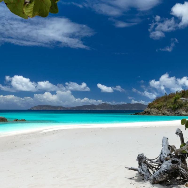 a bird sitting on top of a sandy beach