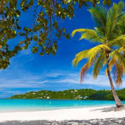 Sunny beach with palm trees, turquoise sea, and blue sky.