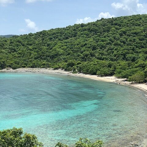 Turquoise bay with lush green hills and clear skies.