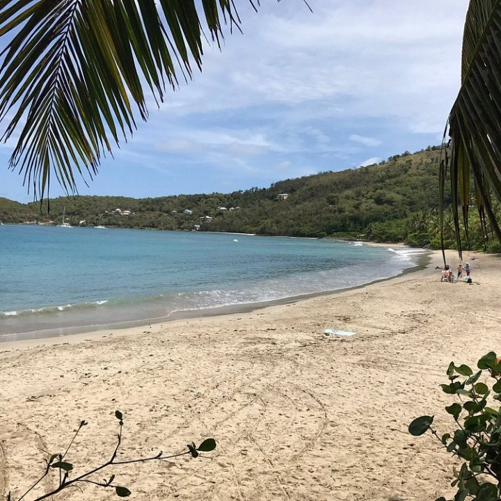Tropical beach with blue sea, sandy shore, palm leaves, and distant people under a cloudy sky.