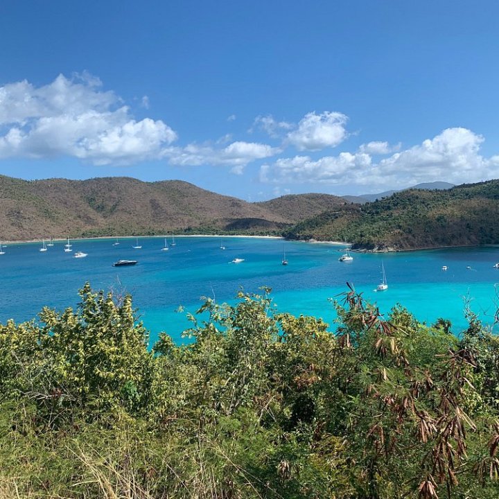 Scenic view of a bay with sailboats on blue water, surrounded by hills and greenery under a clear sky.