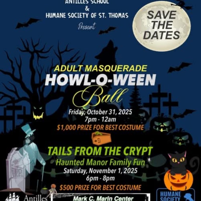 Halloween event poster with spooky trees, pumpkins, bats, and event details for October 31 and November 1, 2025.