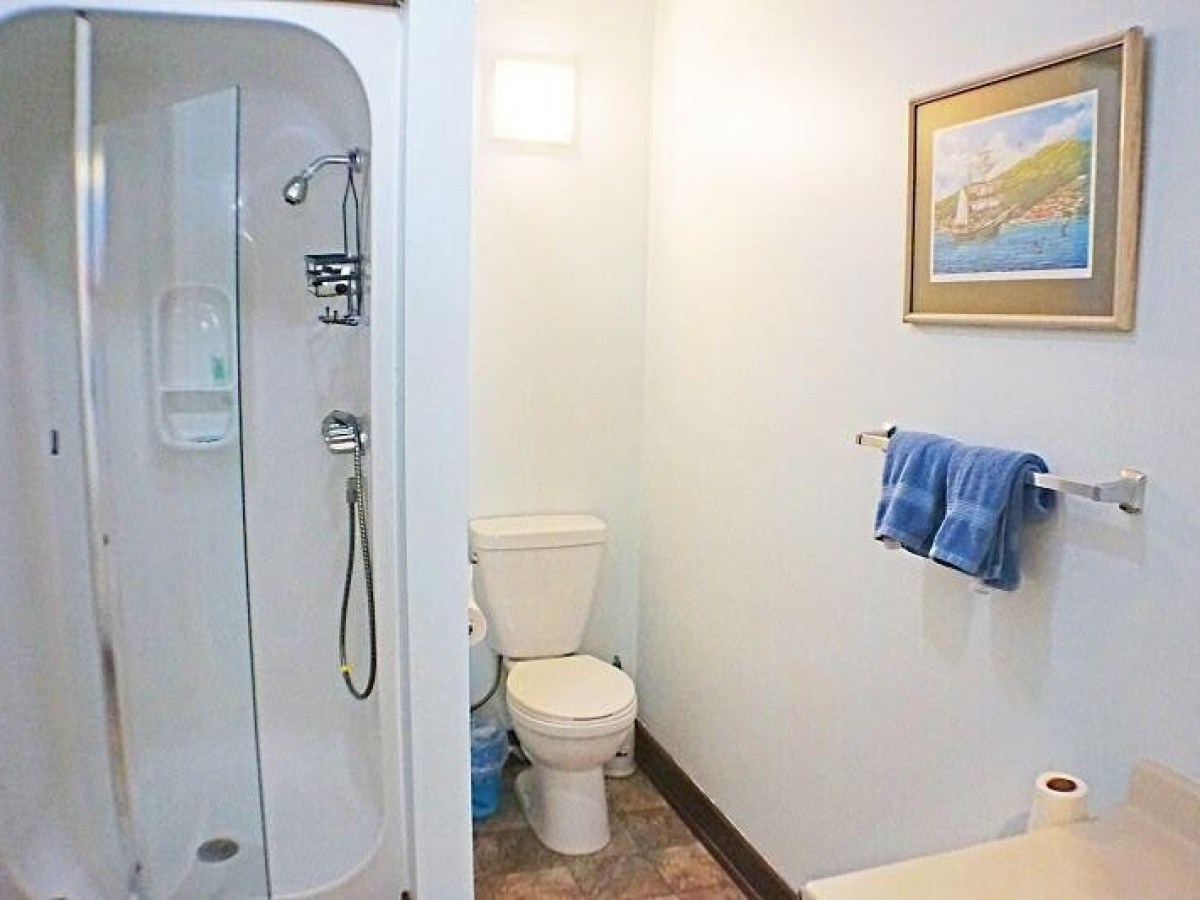 Bathroom with a shower, toilet, and blue towel on a rack, with framed artwork on the wall.