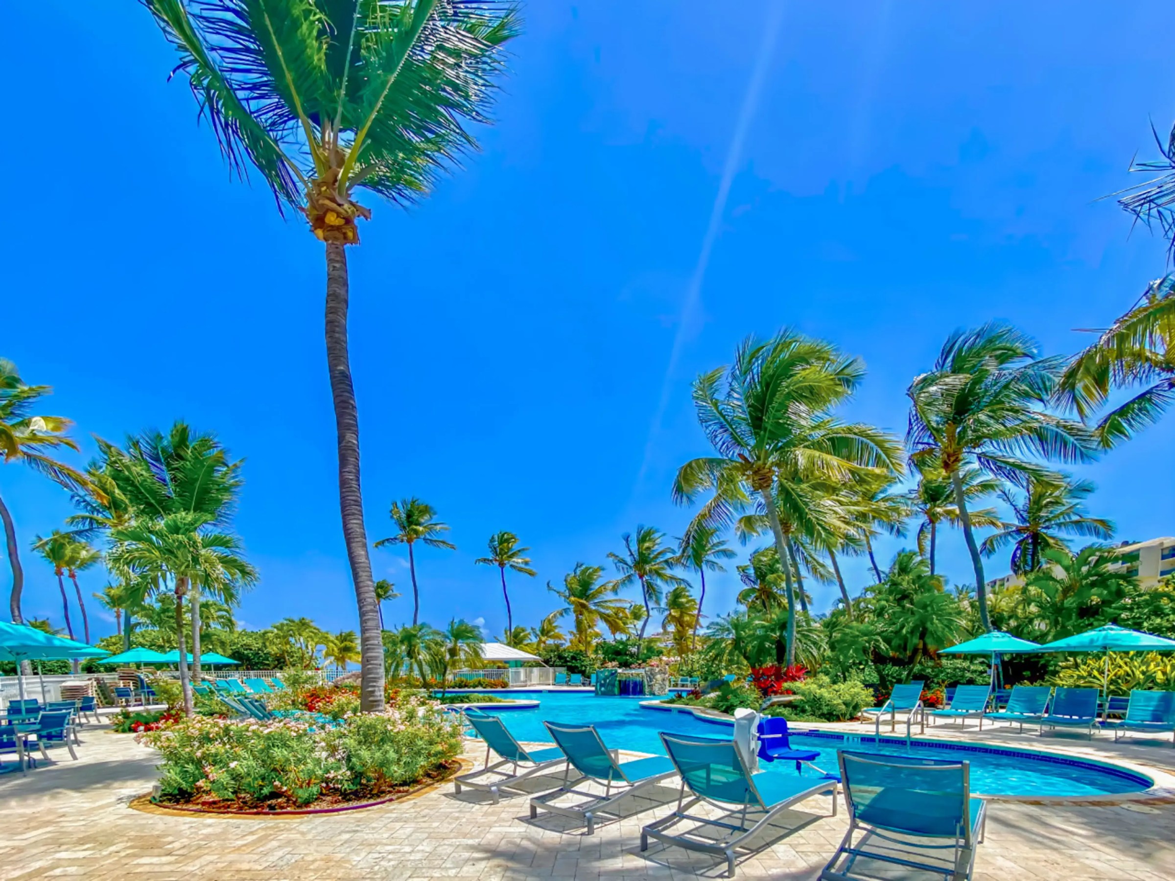 Poolside scene with palm trees, lounge chairs, and a clear blue sky.