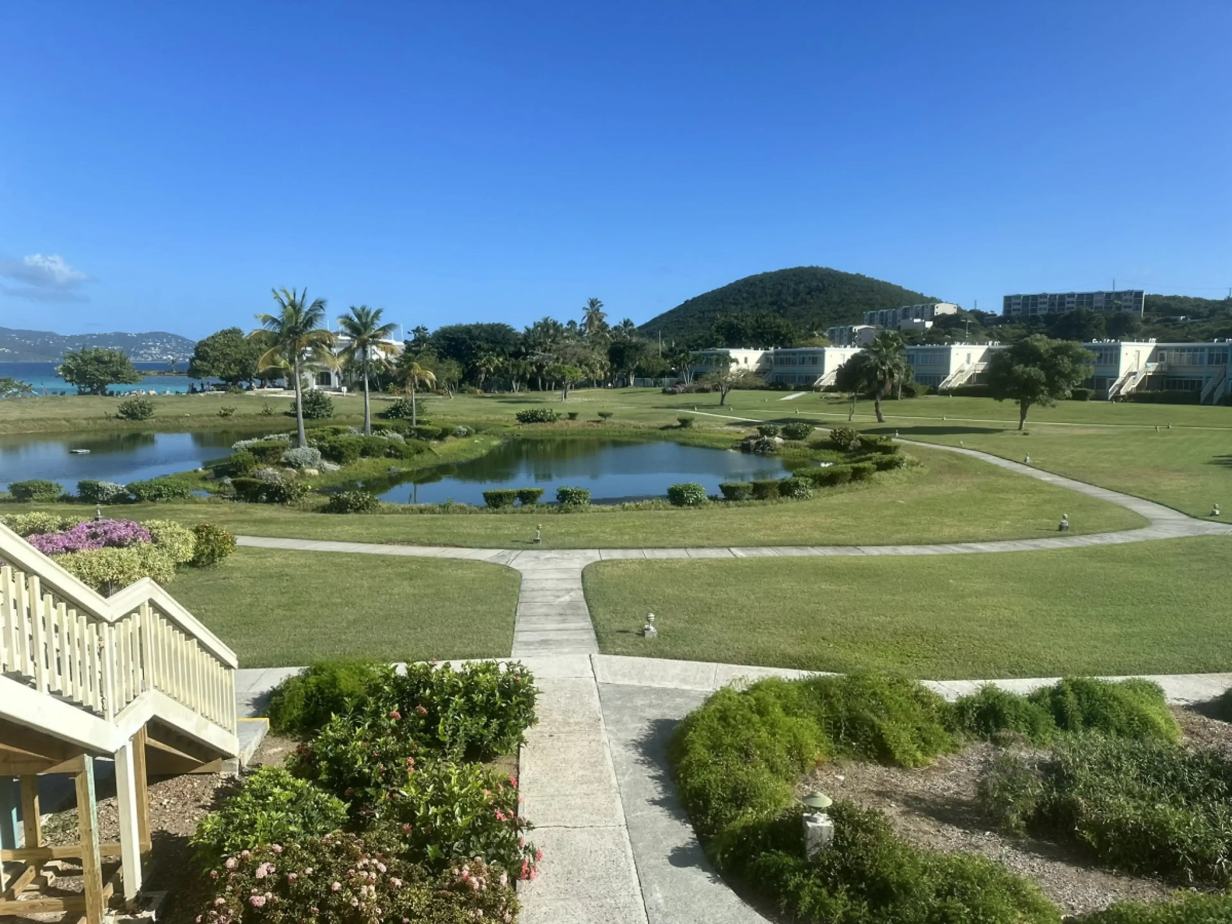 Landscape with a garden, pond, palm trees, and distant hills under a clear blue sky.